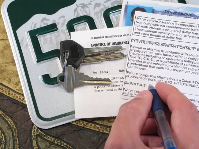 Fleet vehicle licensing