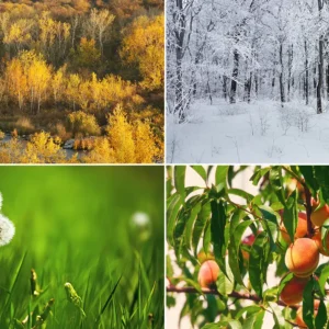 When it comes to maintaining a fleet, the biggest question is whether to outsource through a fleet leasing agency like Glesby Marks or handle it in-house.