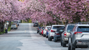 seasonal fleet leasing
